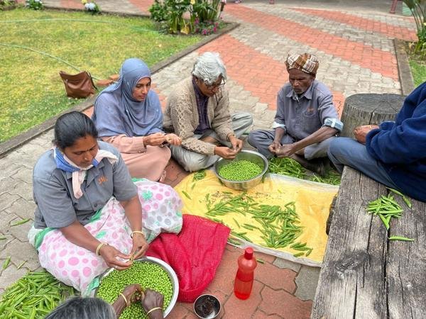 Children learning together outdoors